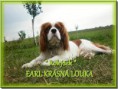 Earl Krásná Louka
